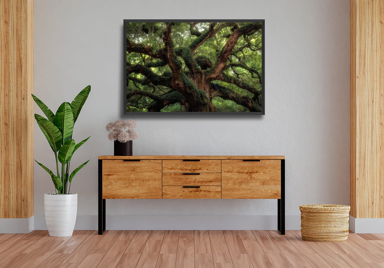 Angel Oak Close II - Imagem 3