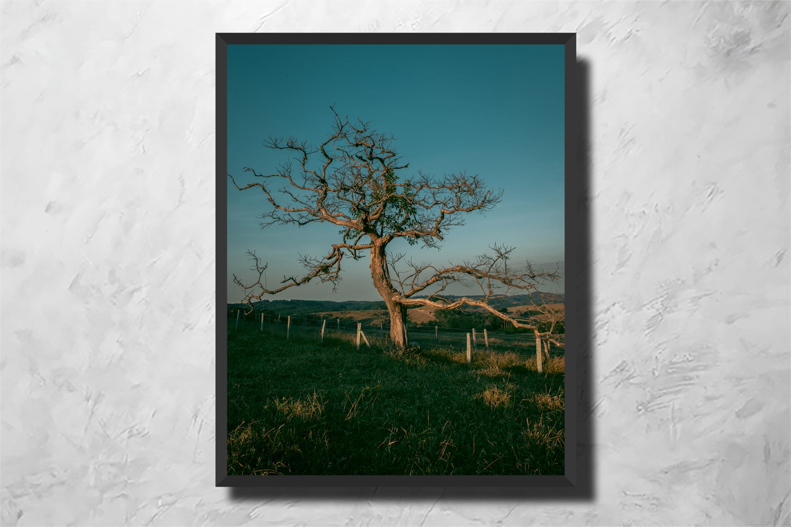 Tree Portrait - Imagem 2