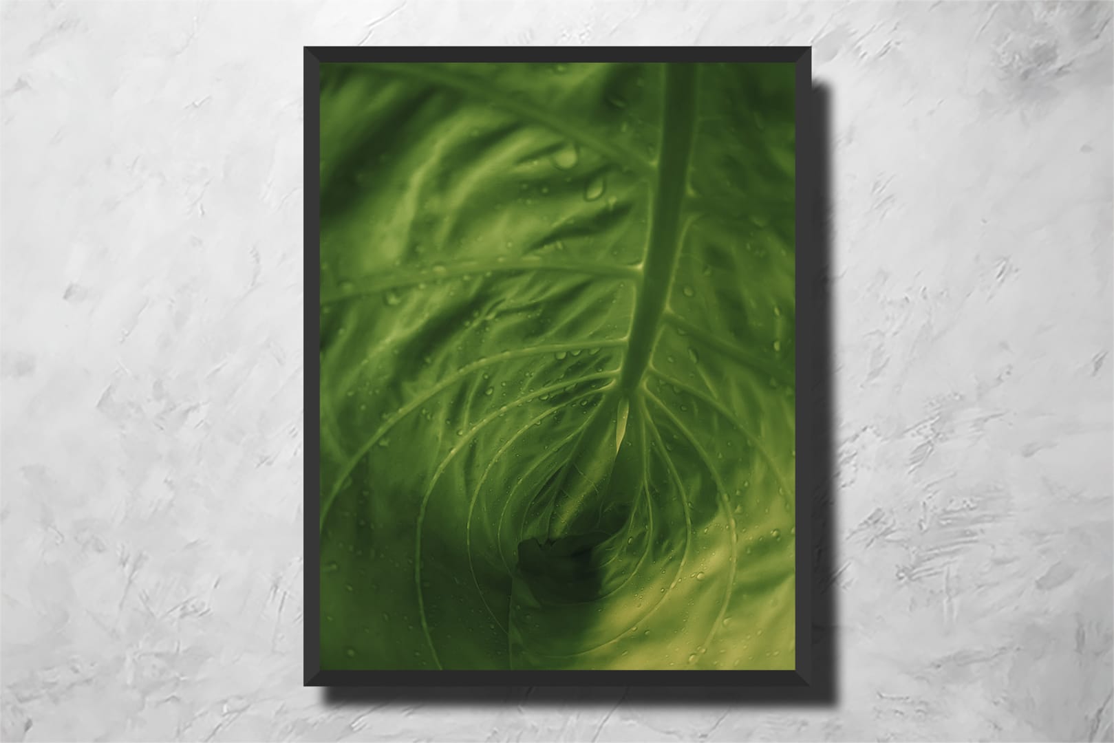 Inside a Leaf - Imagem 2