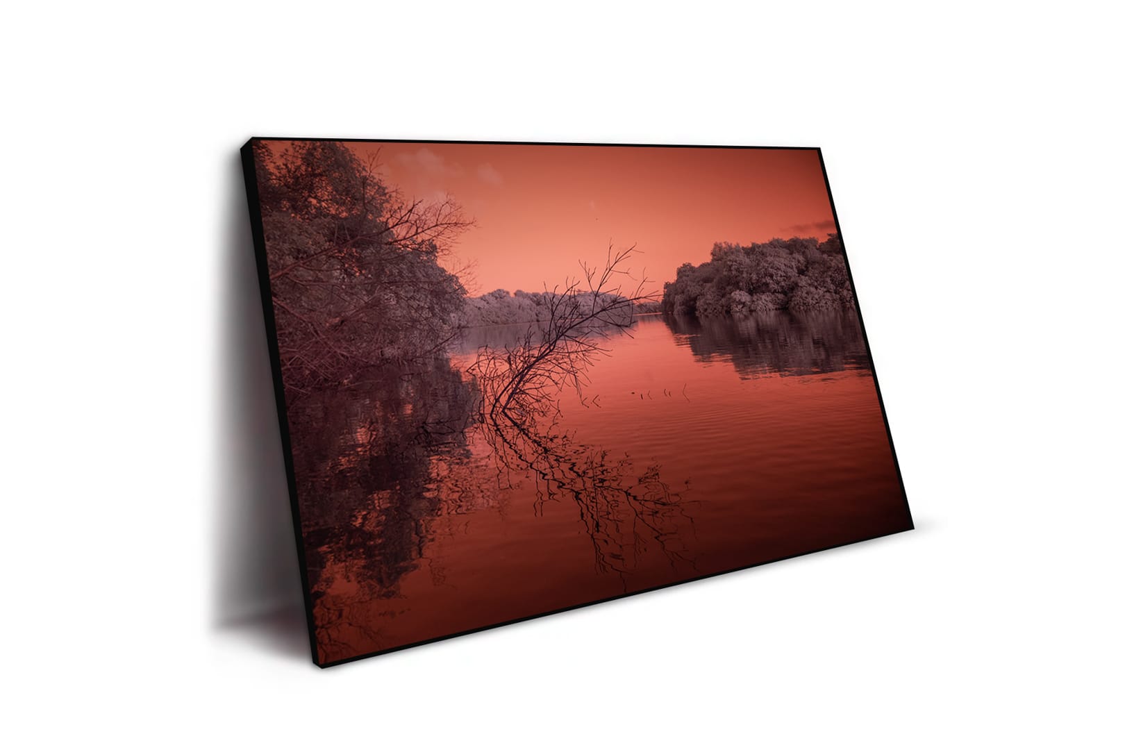 Creatures / AfterWorld