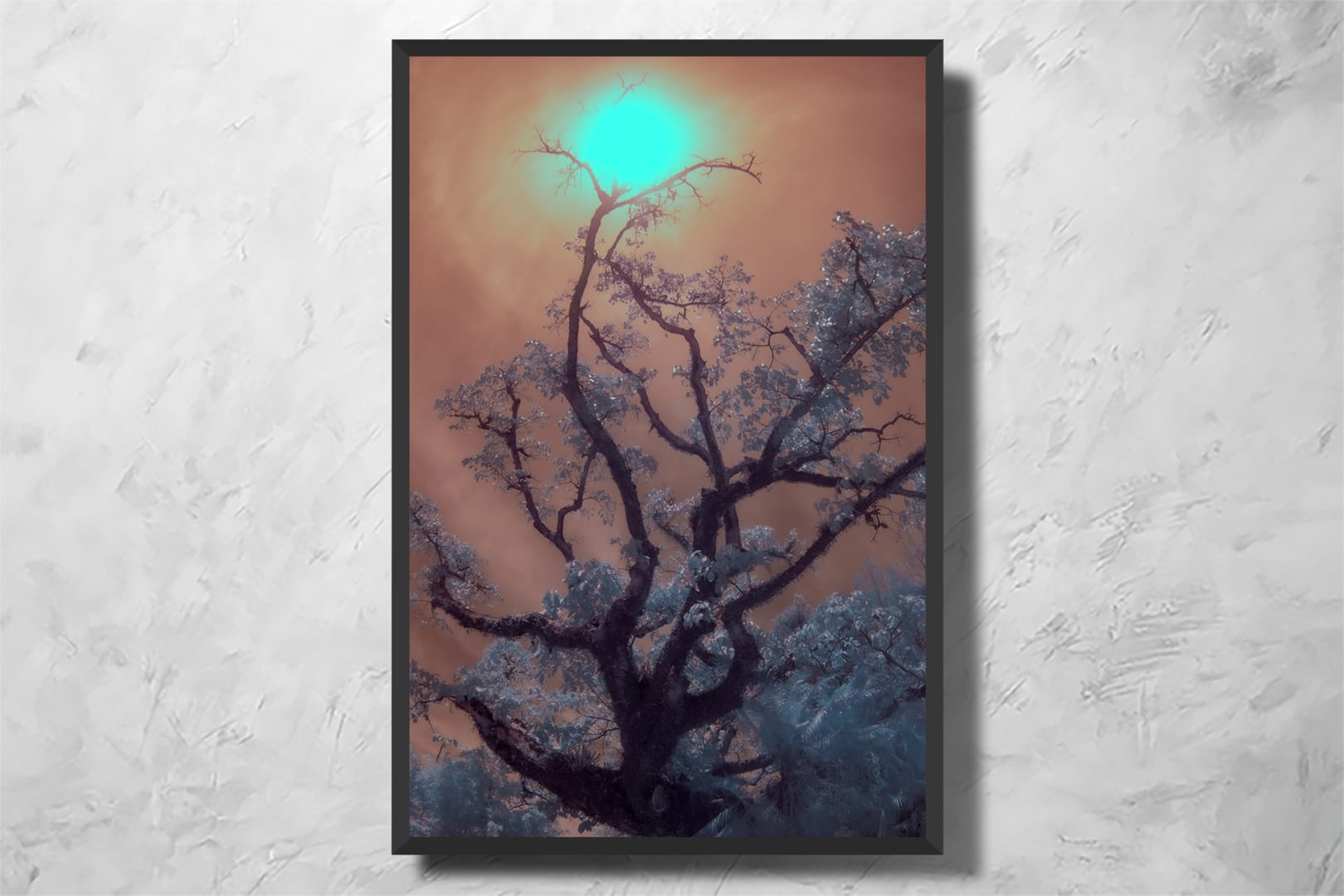 Light Creature - Imagem 2