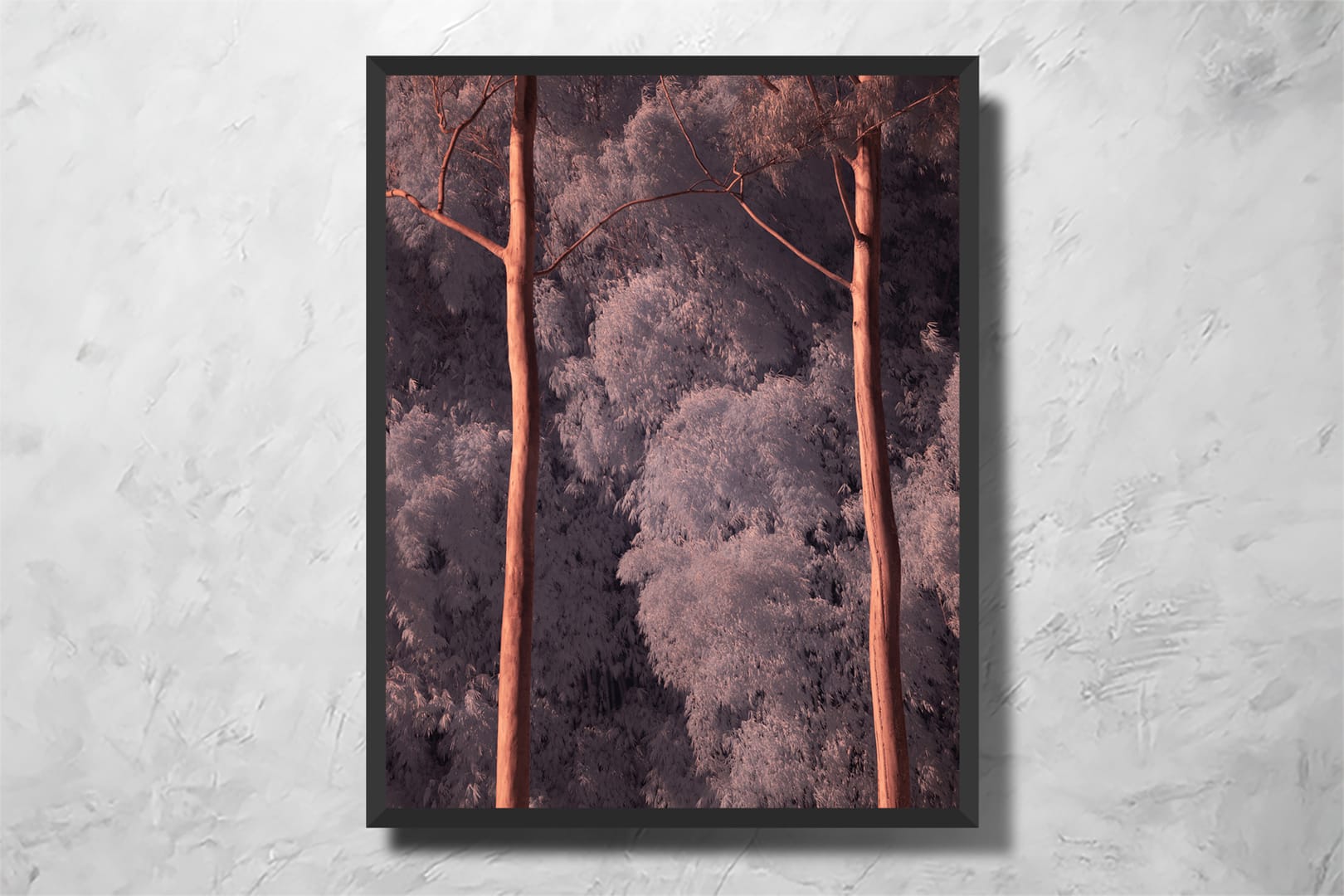 Twins Entity - Imagem 2