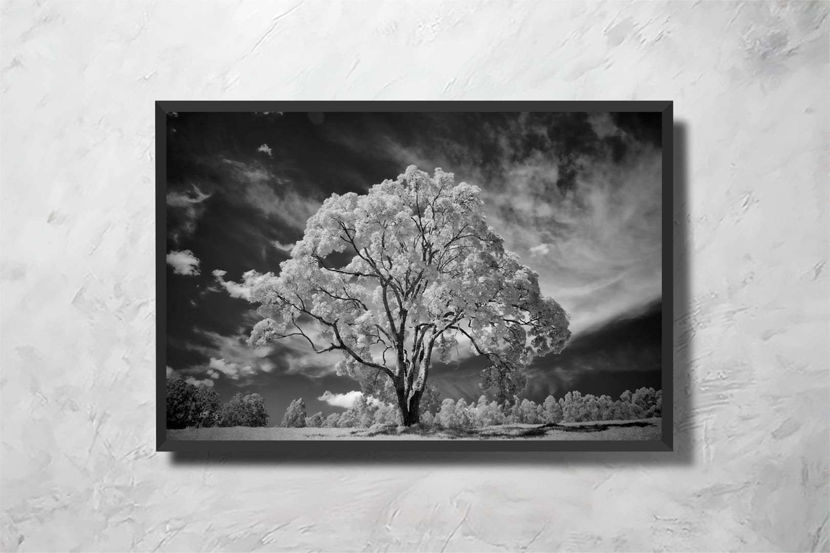 Tree Magic - Imagem 2