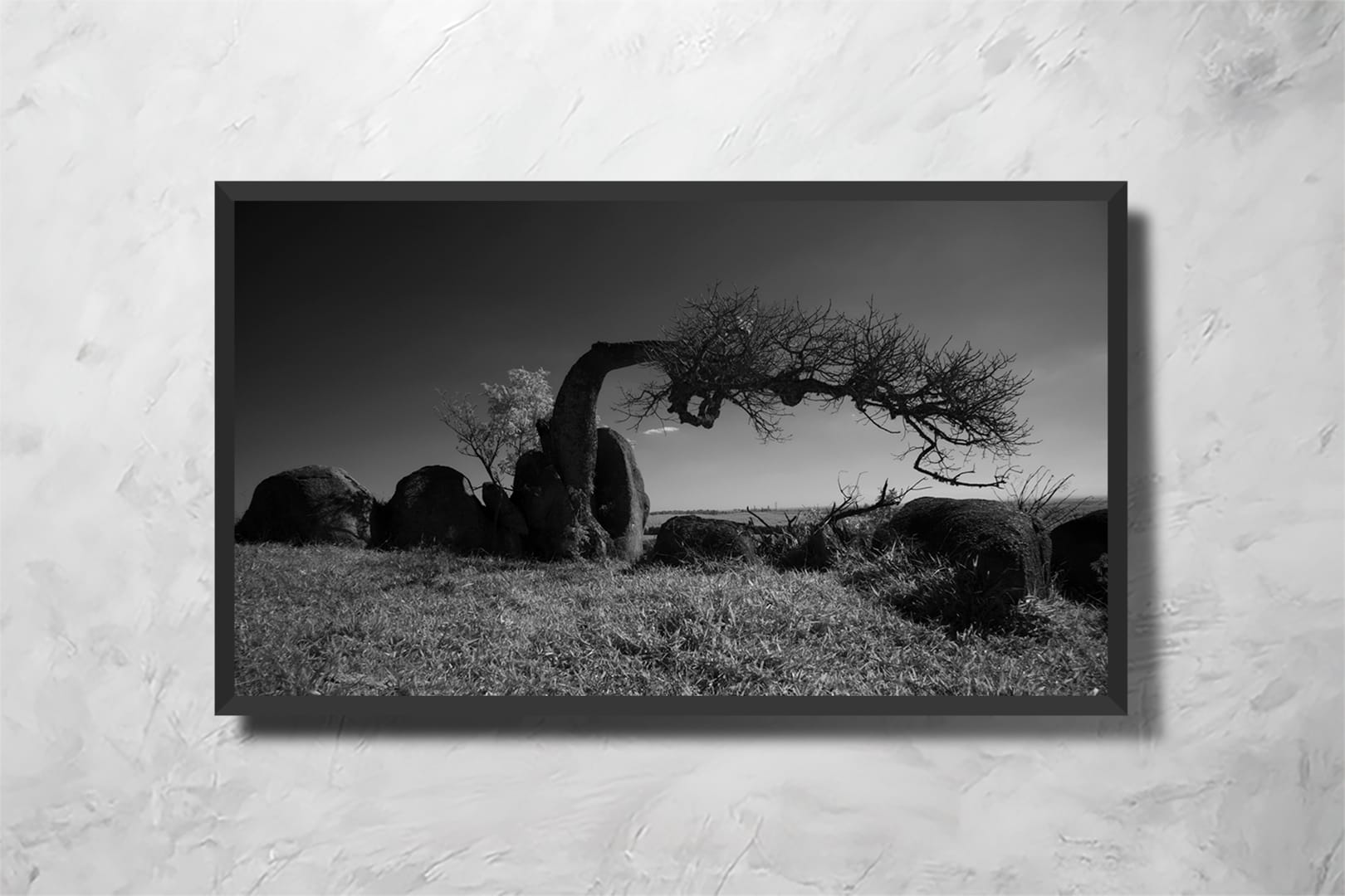 Apocalipse Tree - Imagem 2