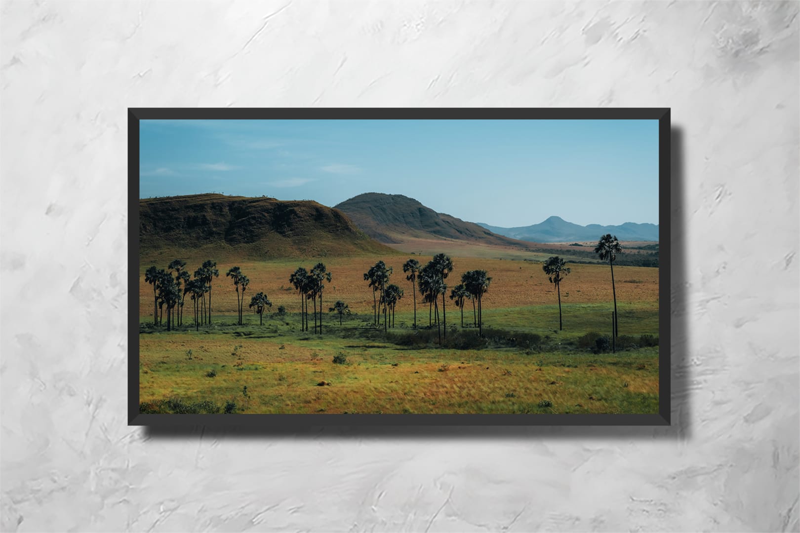 Serrado Tones - Imagem 2