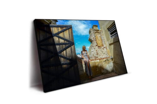 Introspective Shades