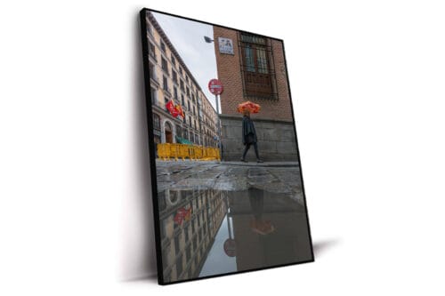 Sync colors Umbrella