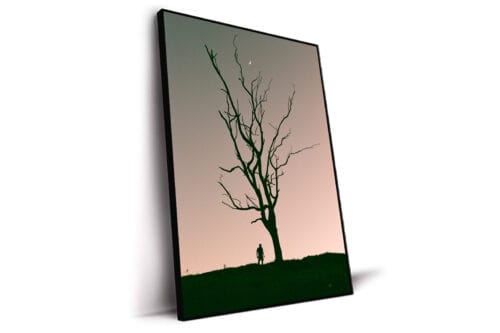 Moon light tree a definir