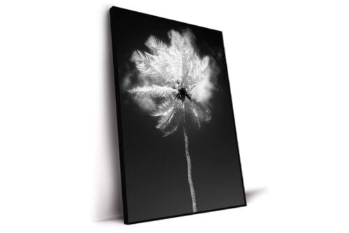 Sublimation - States of Matter