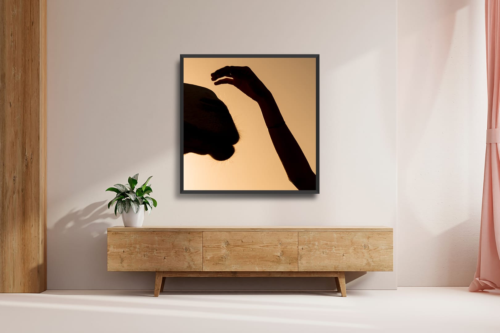 Minimal Camel - Imagem 3