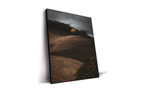 Yellow dot - A definir